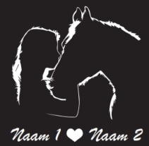 Meisje met paard print