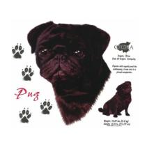 Pug t-shirt