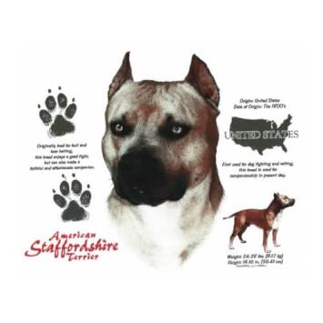 Amerikaanse Stefford bedrukt op een T-shirt.