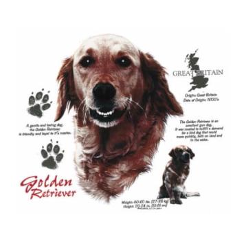 Golden Retriever t-shirt