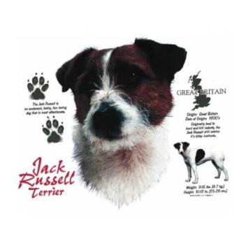 Jack Russel Terrier t-shirt