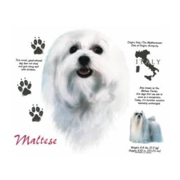 Maltese t-shirt