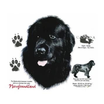 Newfoundlander t-shirt